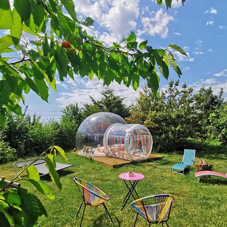 La Bulle Des Champs Bed & Breakfast Champmotteux Dış mekan fotoğraf